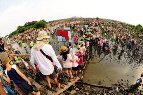 การปลูกป่าชายเลน โครงการซีเอสอาร์ยอดนิยม ที่มาภาพ: http://www.bangkokbiznews.com/home/media/2011/03/22/images/news_img_383039_1.jpg